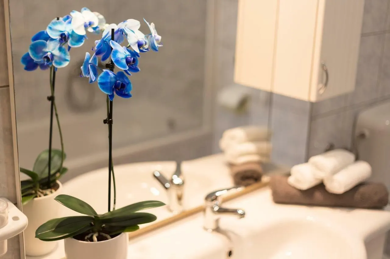 Apartments Contessa Novigrad Istria